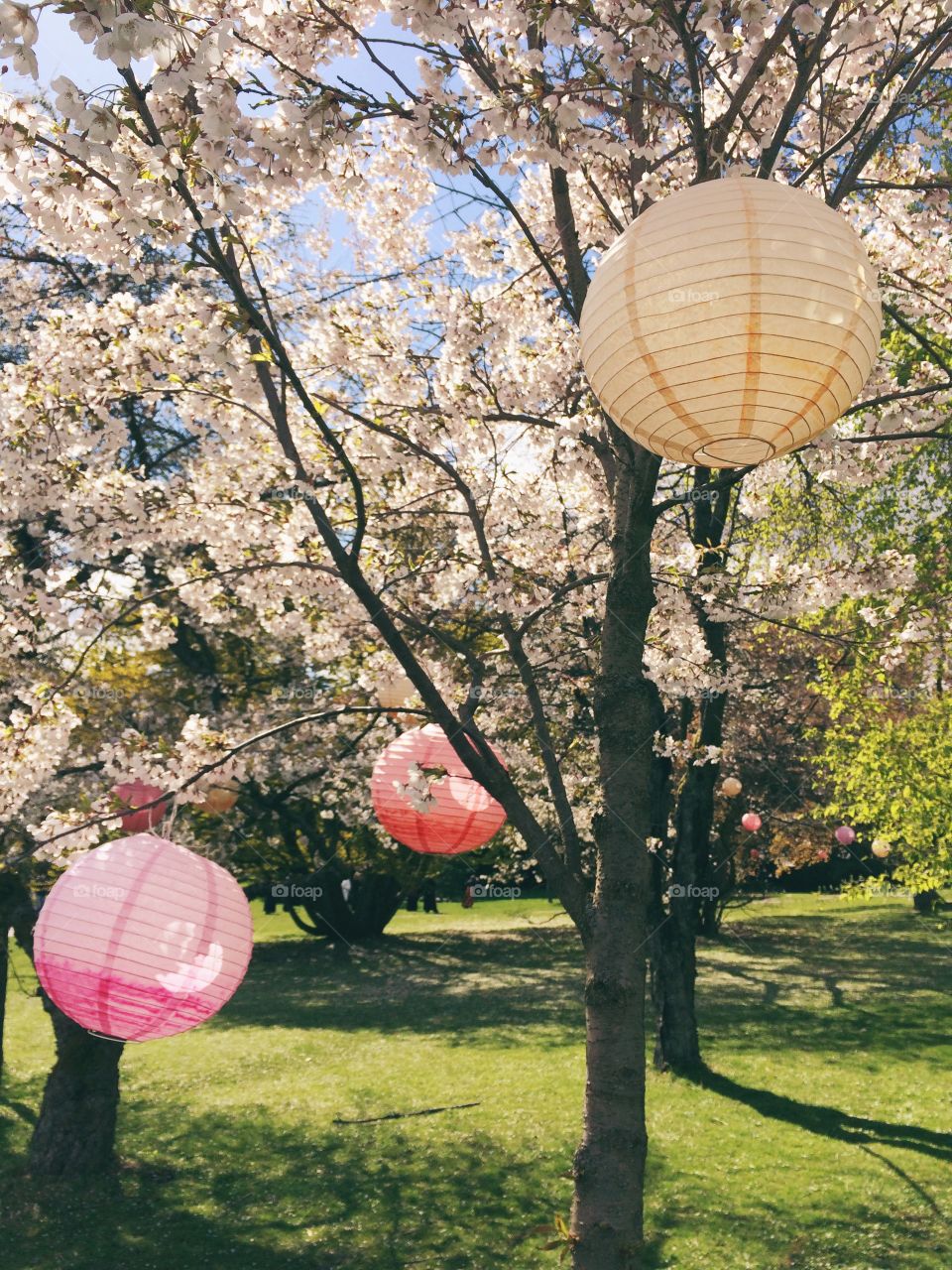 Japanese garden lamps