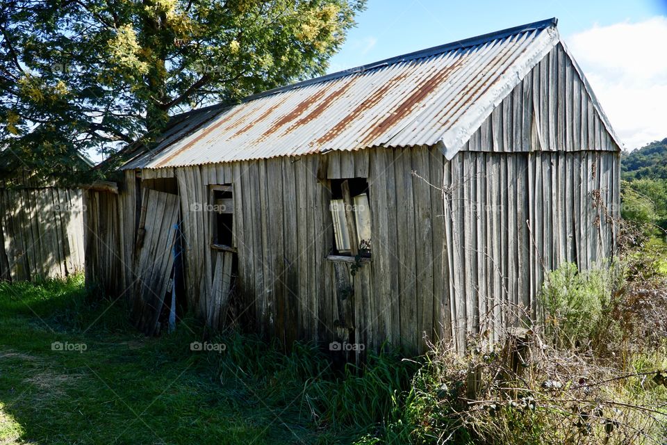 Abandoned (Apple) pickers cabins. Circa early 1900s