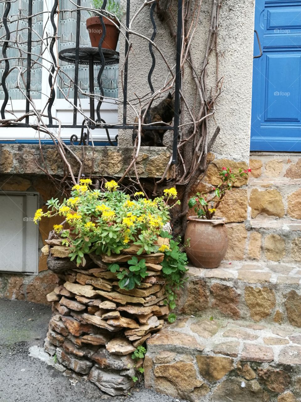 flowerpot