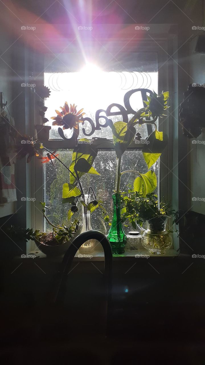 Kitchen Window Perspective