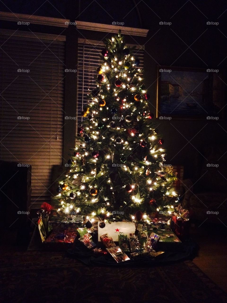 Christmas lights, Christmas tree, presents, holiday 