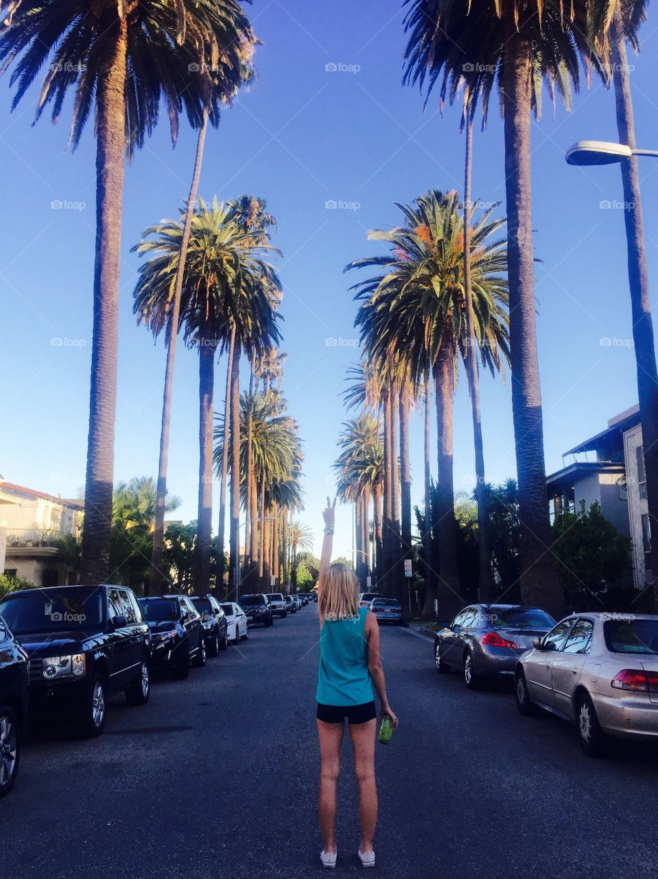 Beverly Hills . Palm trees here are the best. 