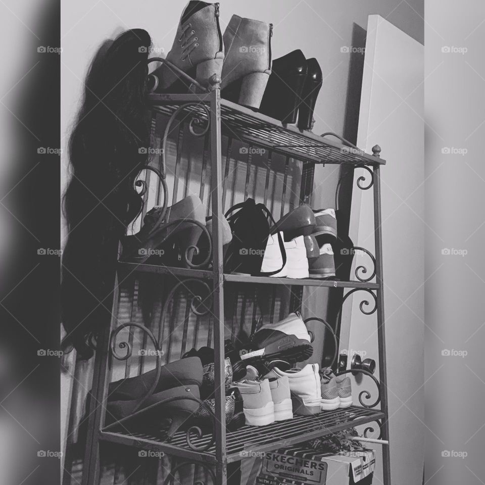 Shor Rocks with shors