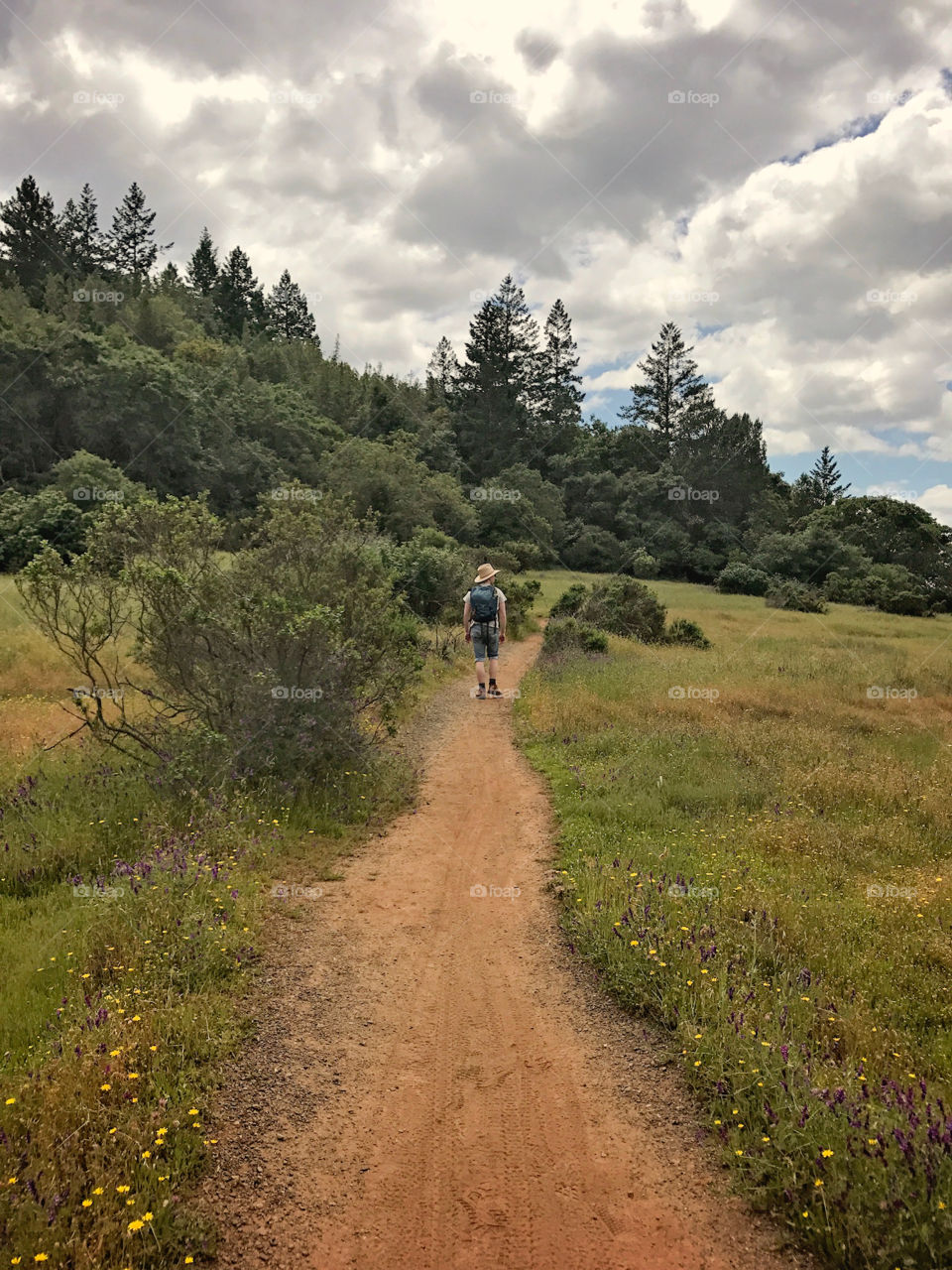 Hiking in Sonoma county 