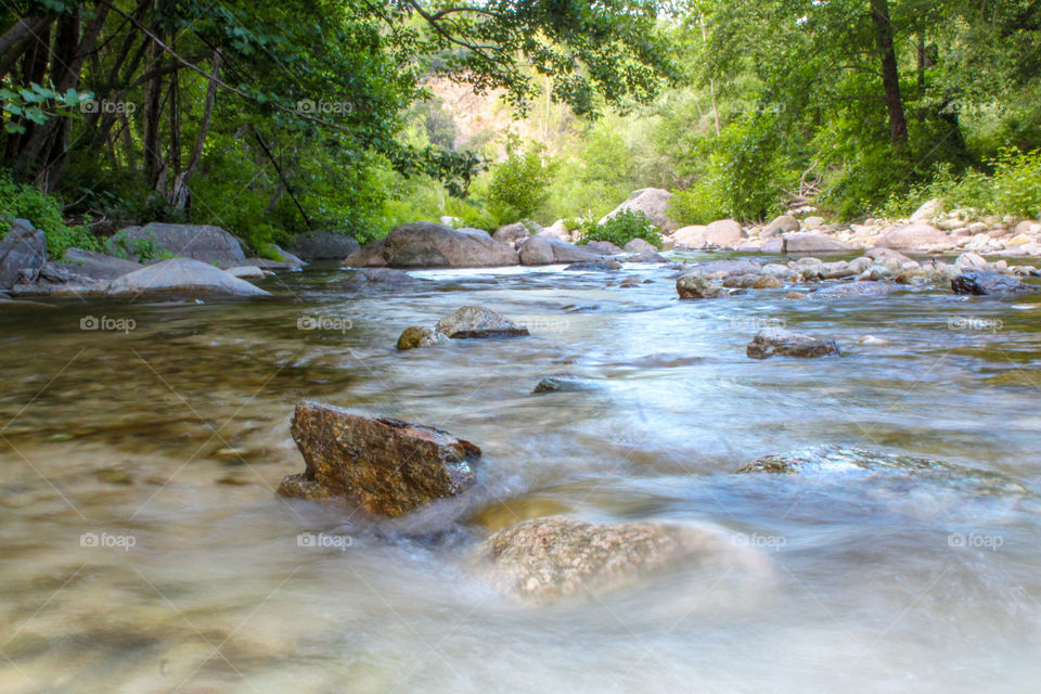 Idyllic river in Corsica