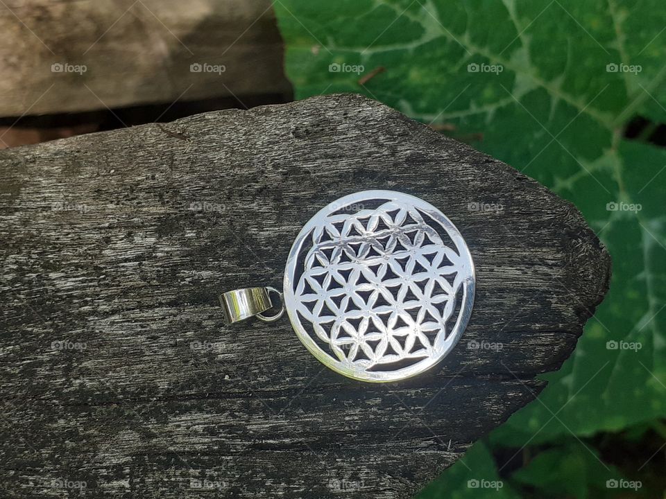 dije en plata flor de la vida