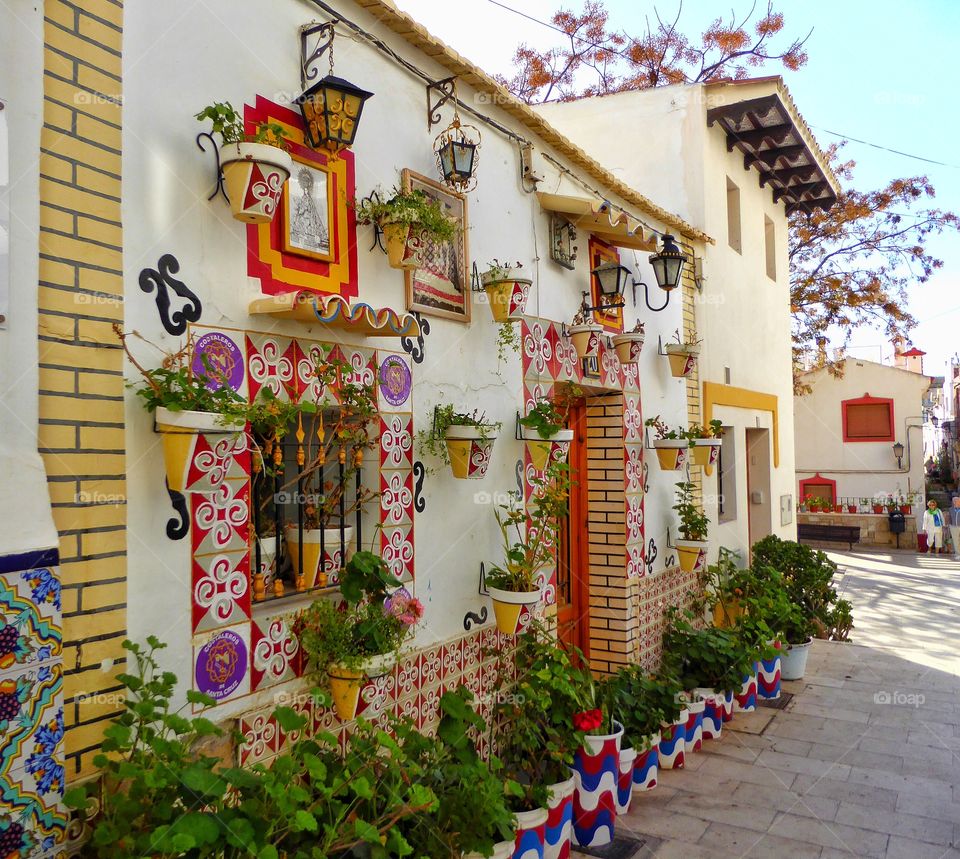 Potted plant on facade