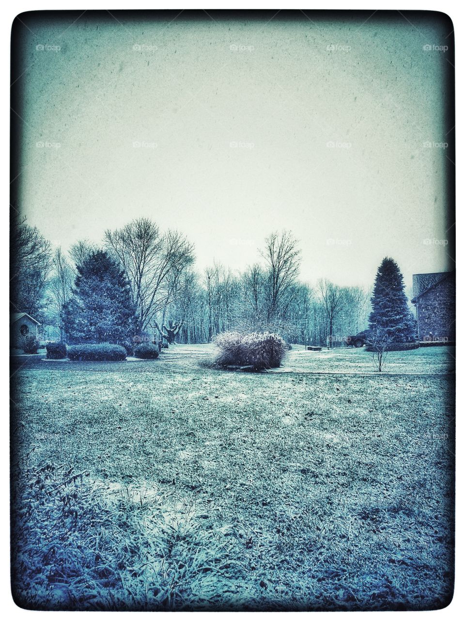 Christmas Eve snow 2
