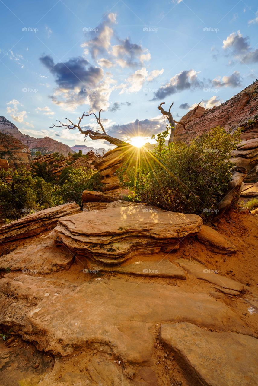 Sunset Zion National Park