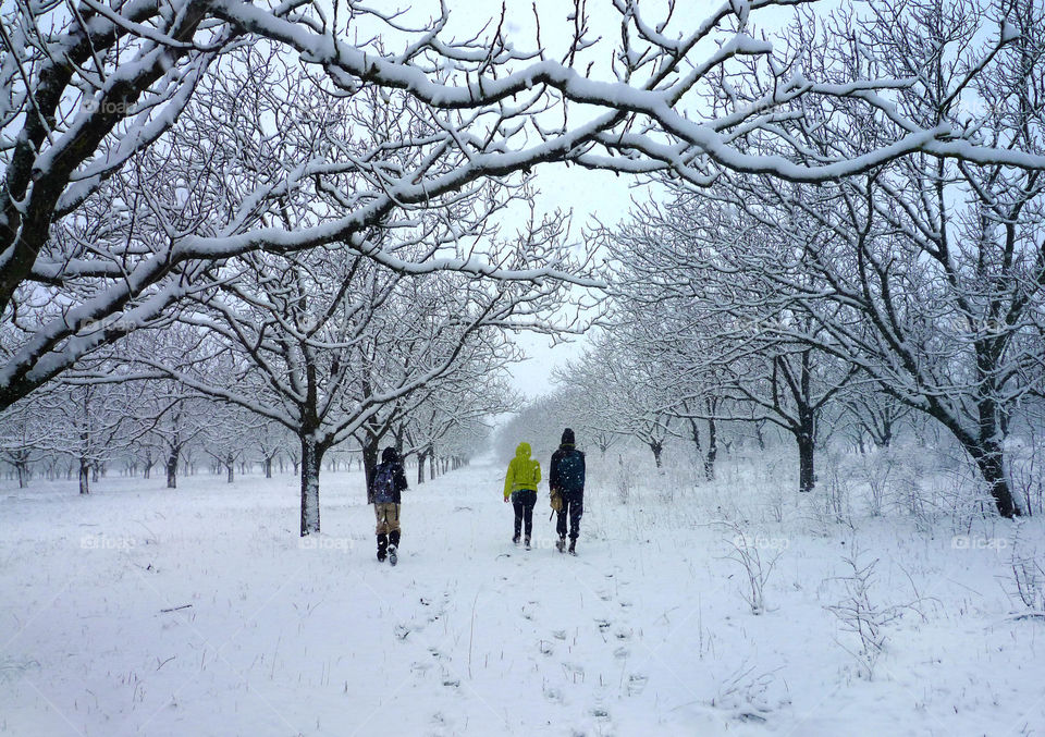 Winter walk with friends