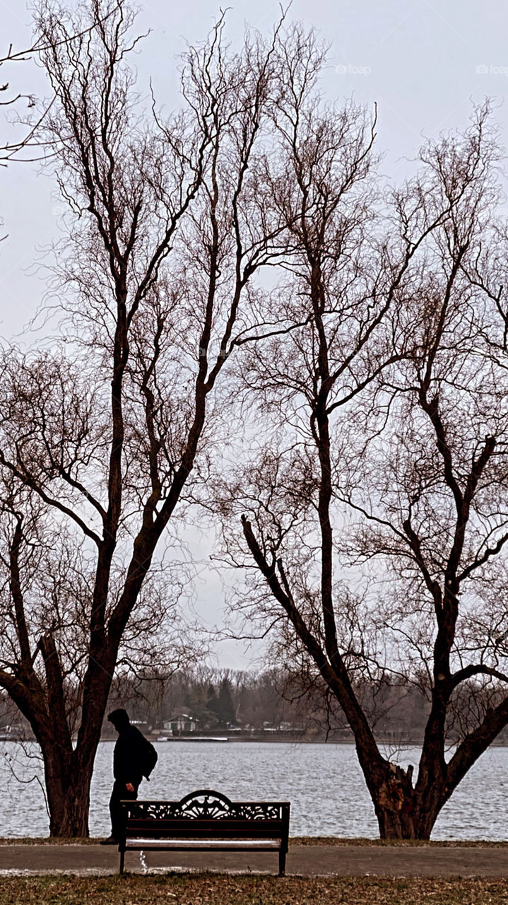 Lake trees and a human