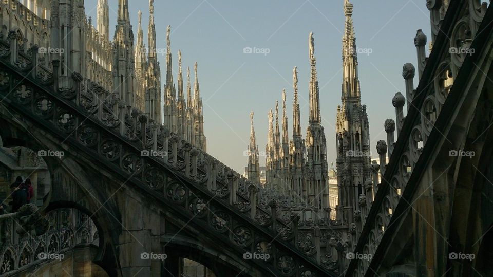 catedral di milano