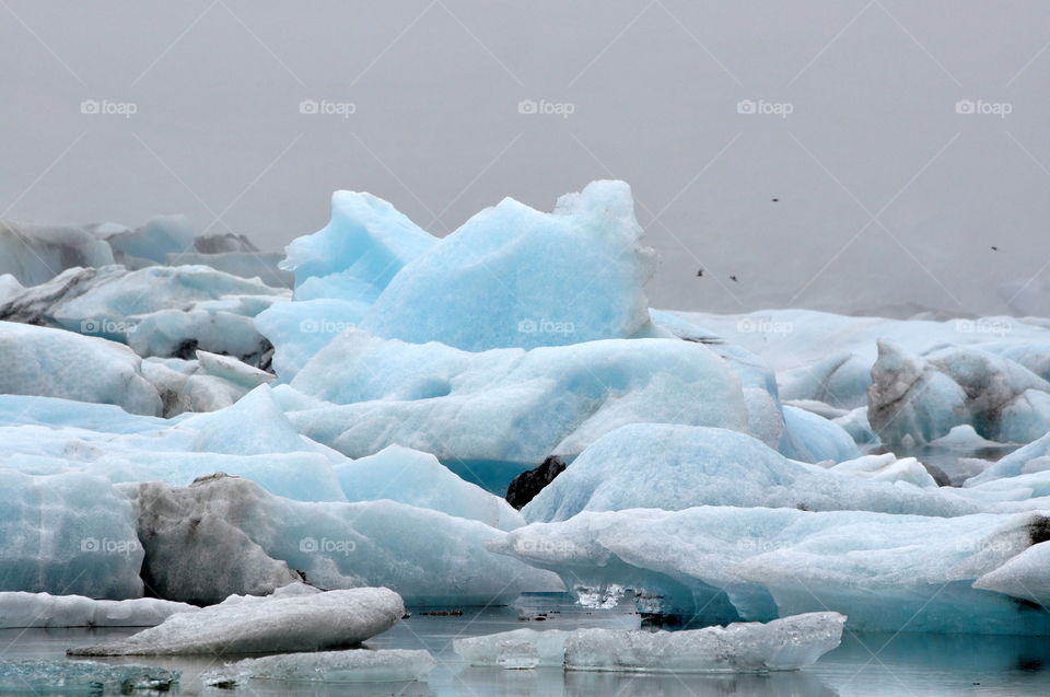 Iceberg, Ice, Melting, Snow, Frosty