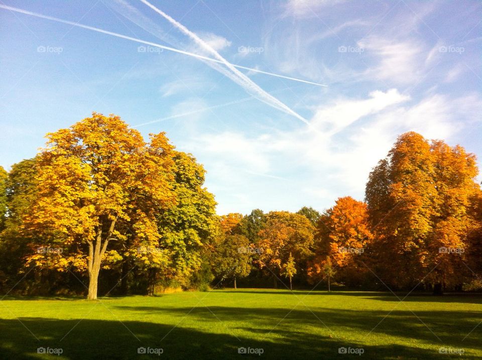 Hirschgarten in fall