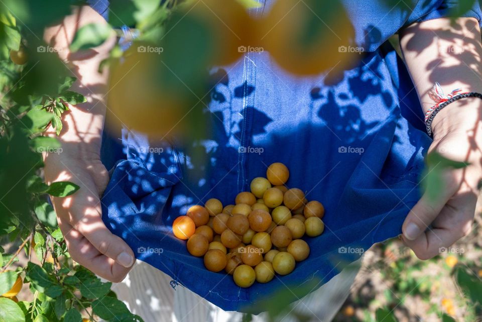 Complementary Colors