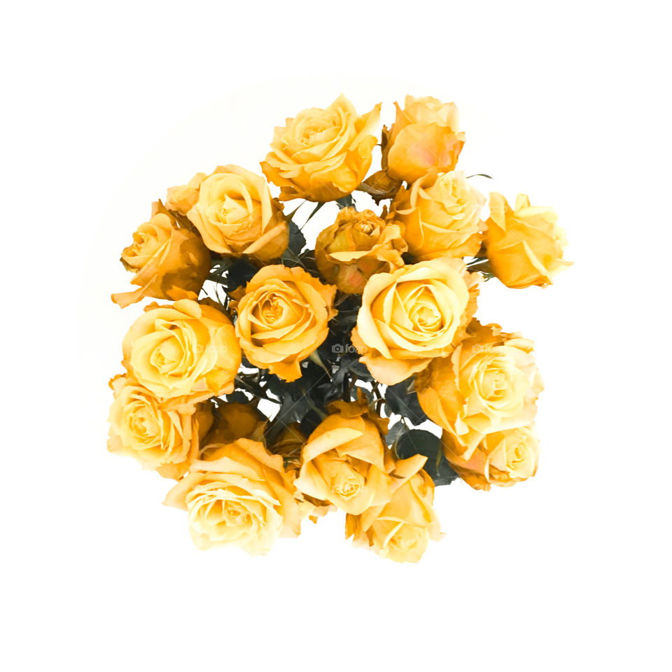 Happy Yellow Roses