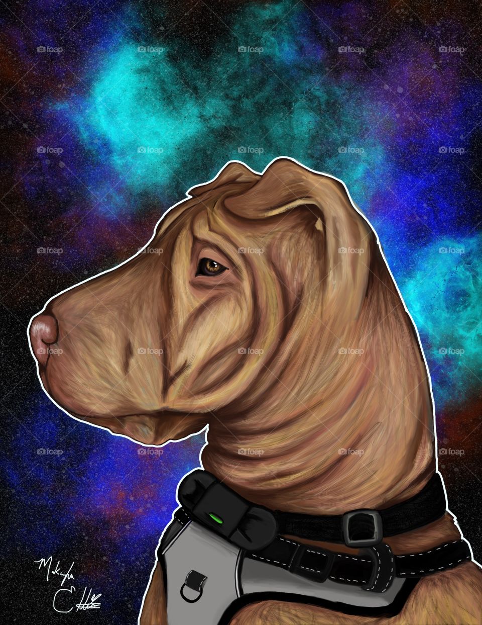 Roofus in Space, digital art