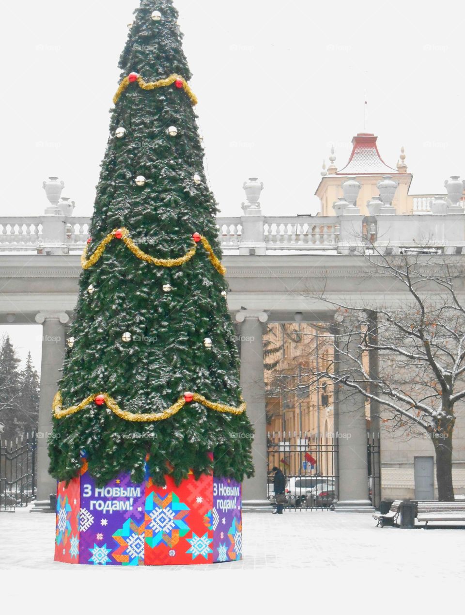 Winter, Christmas, Snow, Christmas Tree, Tree