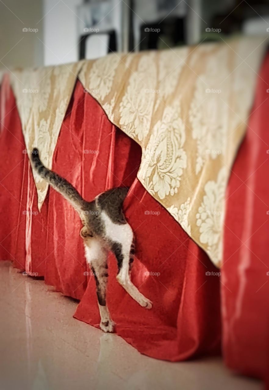 You Can Run but You Can Never Hide