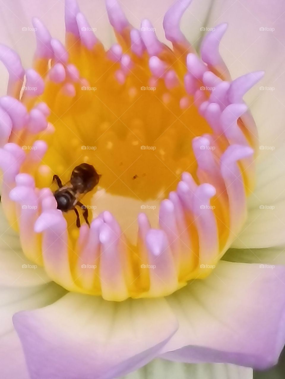 taking bath🫣🫣🐝🐝