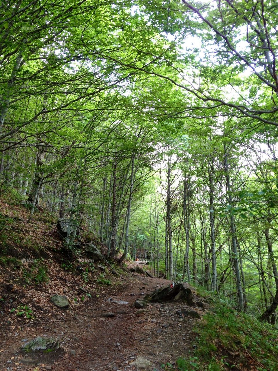 Ascenso al Ibón de Respomuso