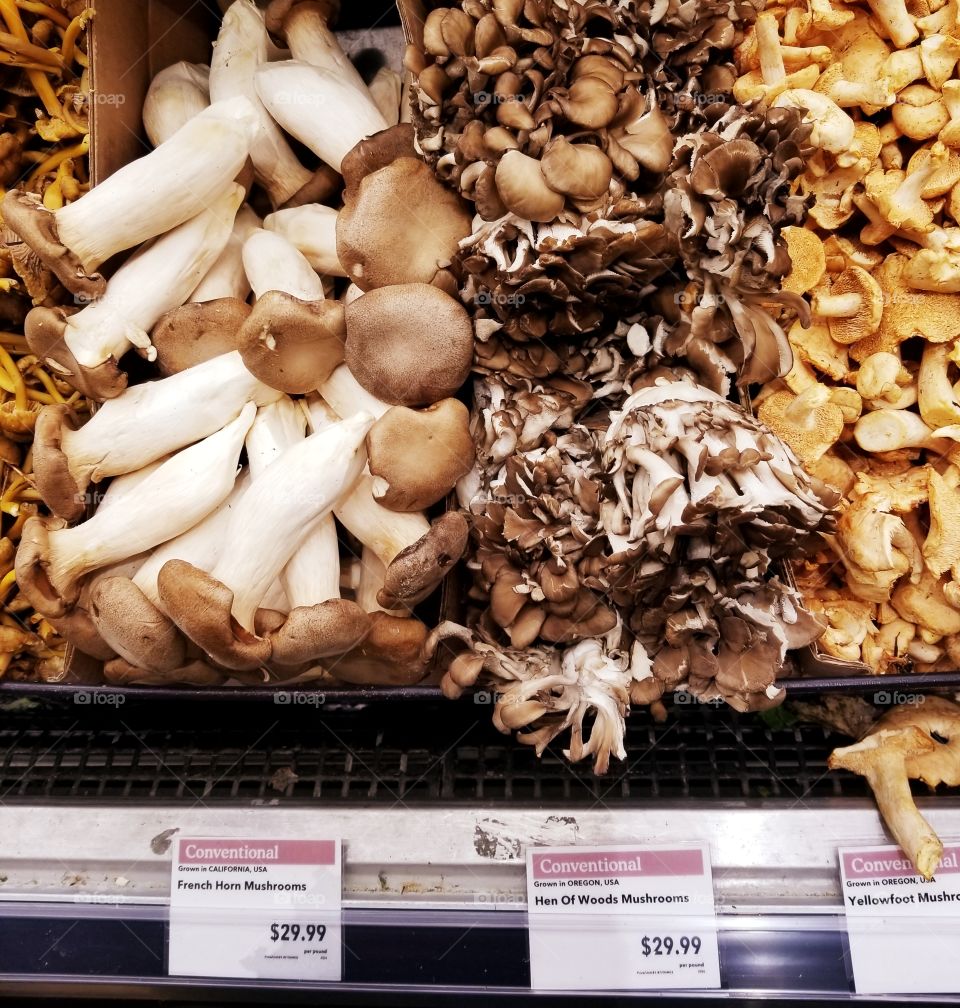 expensive exotic mushroome at the market