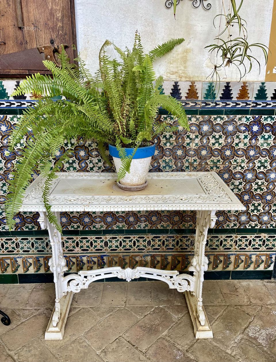 fern plant inside a terracotta pot on top of a metal garden table with a background of hand painted ceramic tiles