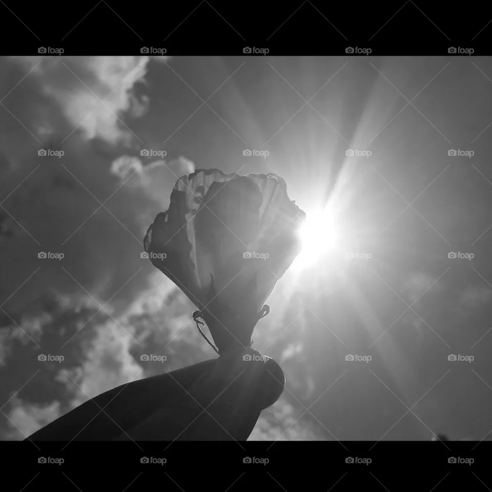 rays