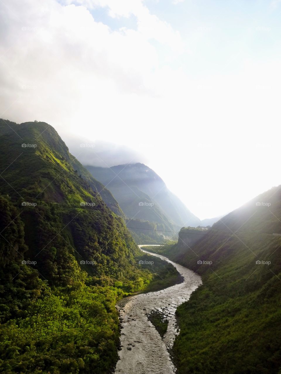 Hiking in the Amazon Basin 