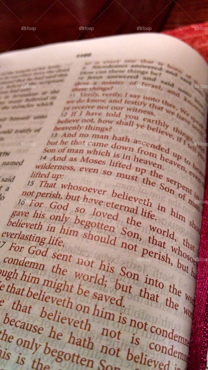 my mornings are a true blessing. this is what i wake up to do every morning