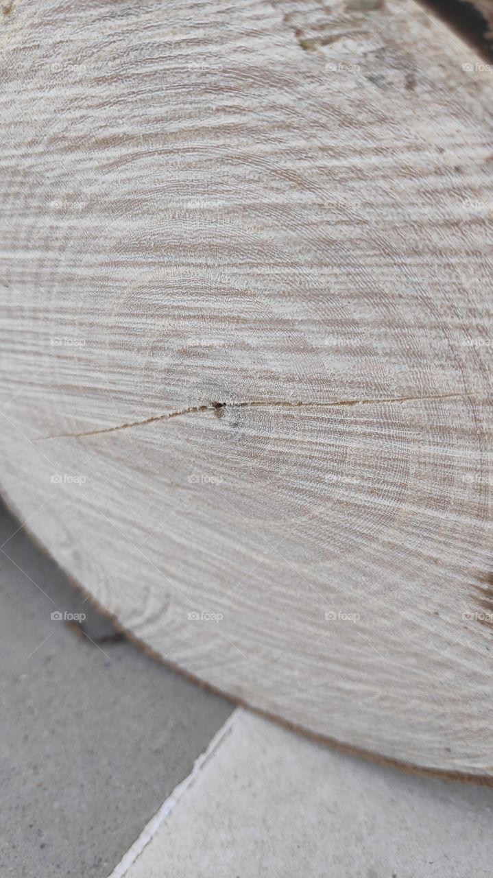 textura madera