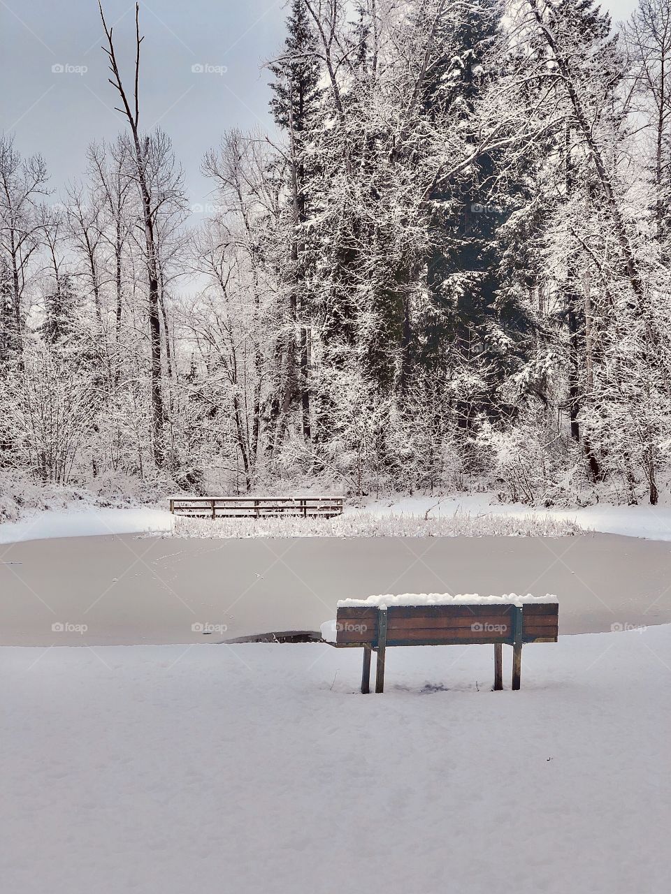 The world changes when it snows