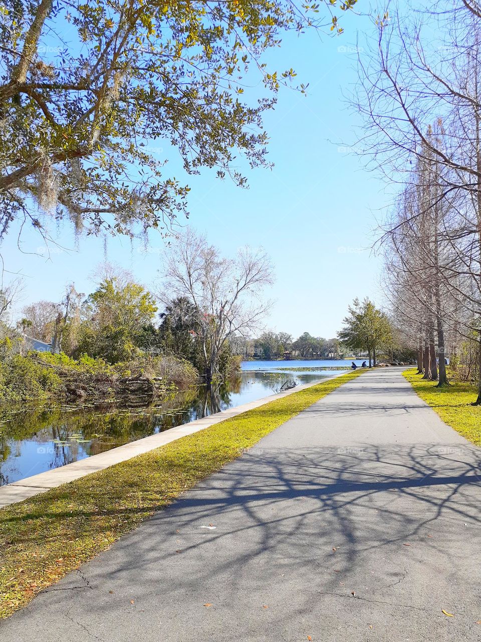 Pathway/Trailway at Secret Lake Park that runs along a canal and into a lake. There are trees on both sides and there is a shadow of a tree across the path.