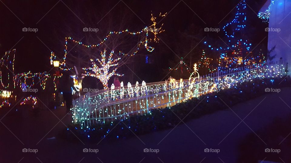 Christmas lights 