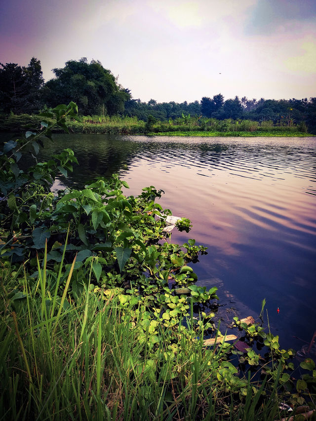 Mekarsari permai, Cileungsi.