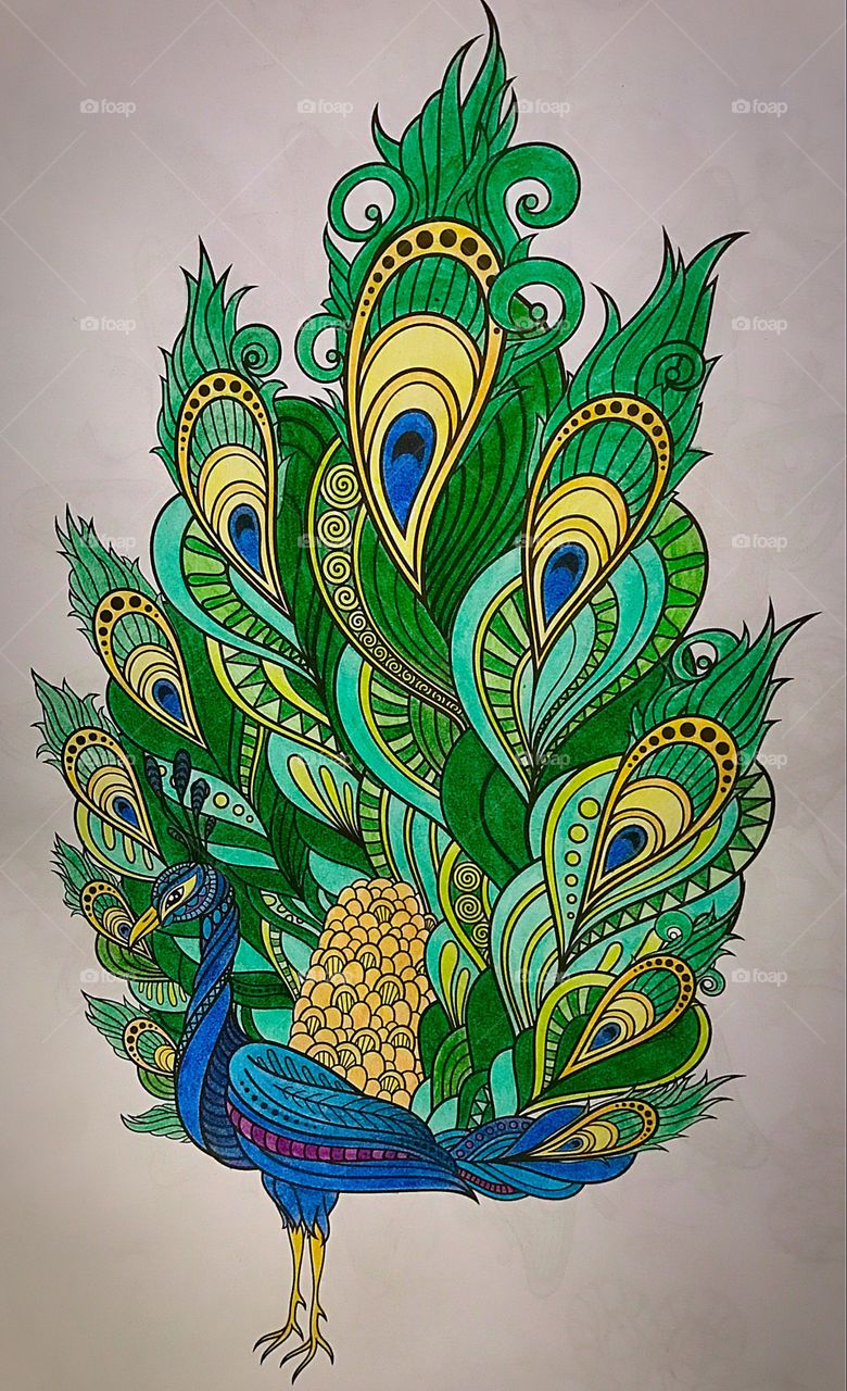 Beautiful peacock painting