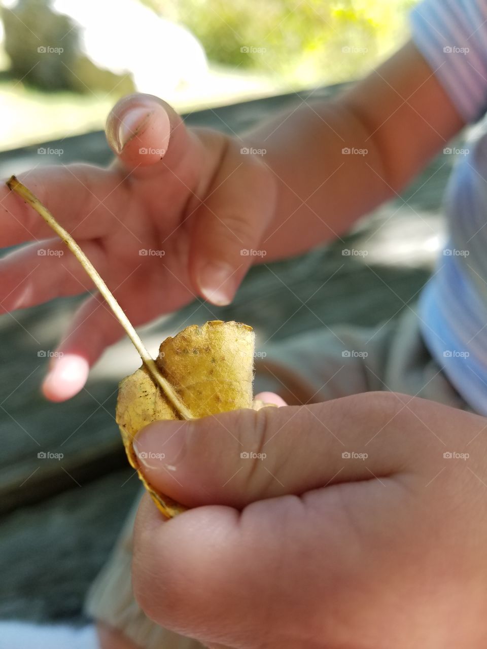 Little exploring hands