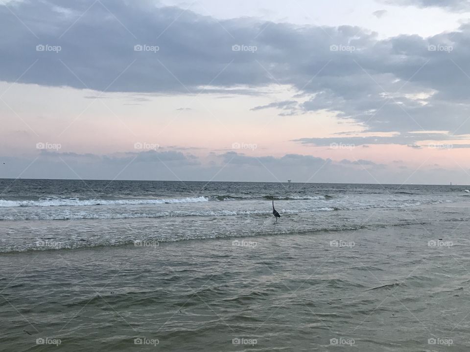 Crane in ocean at sunset