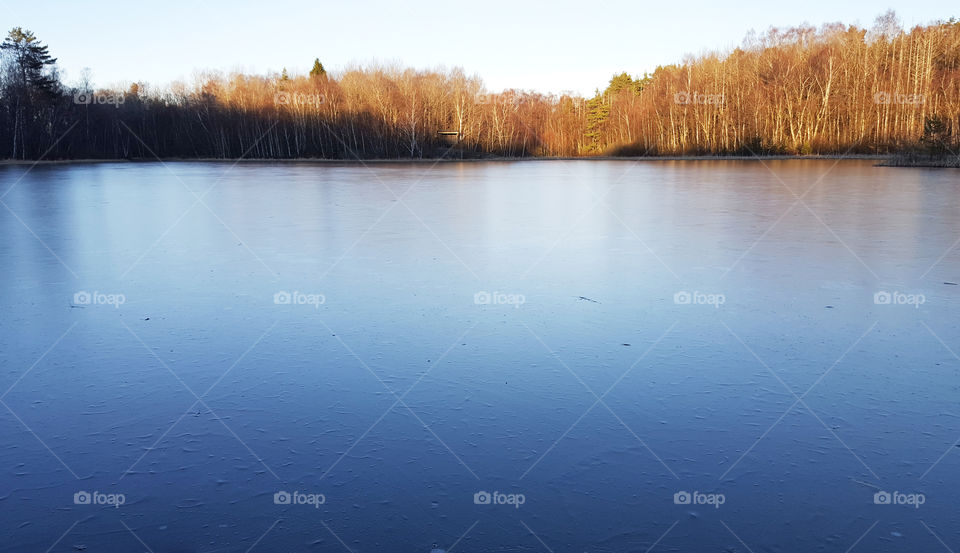 Idyllic view of lake