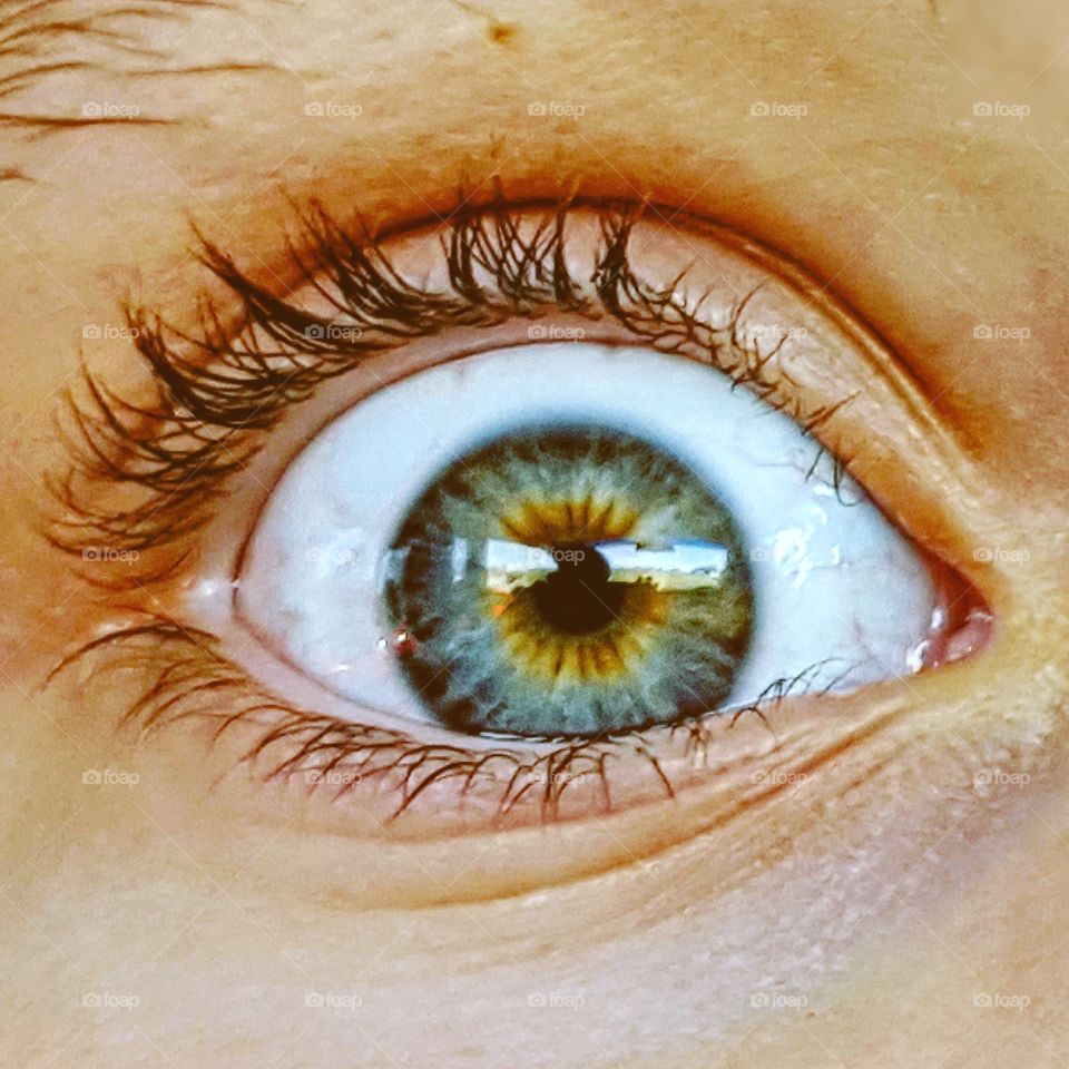 reflections of the soul