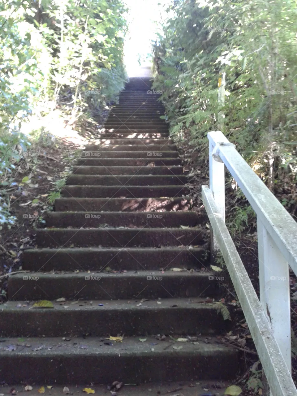 stairs