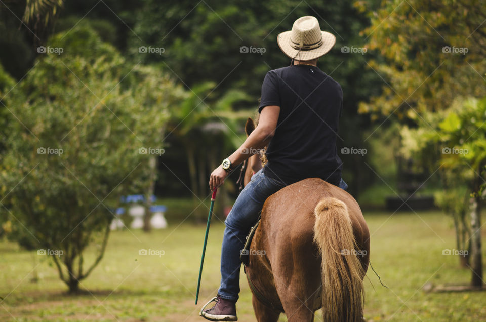 Man riding a horse 