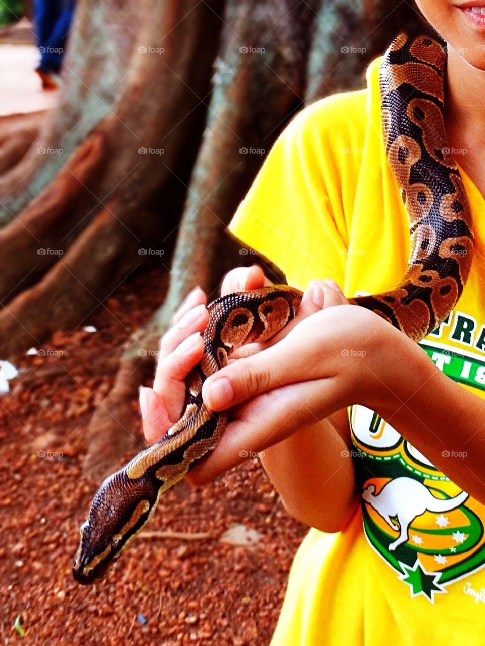 A little phython hold by a kid