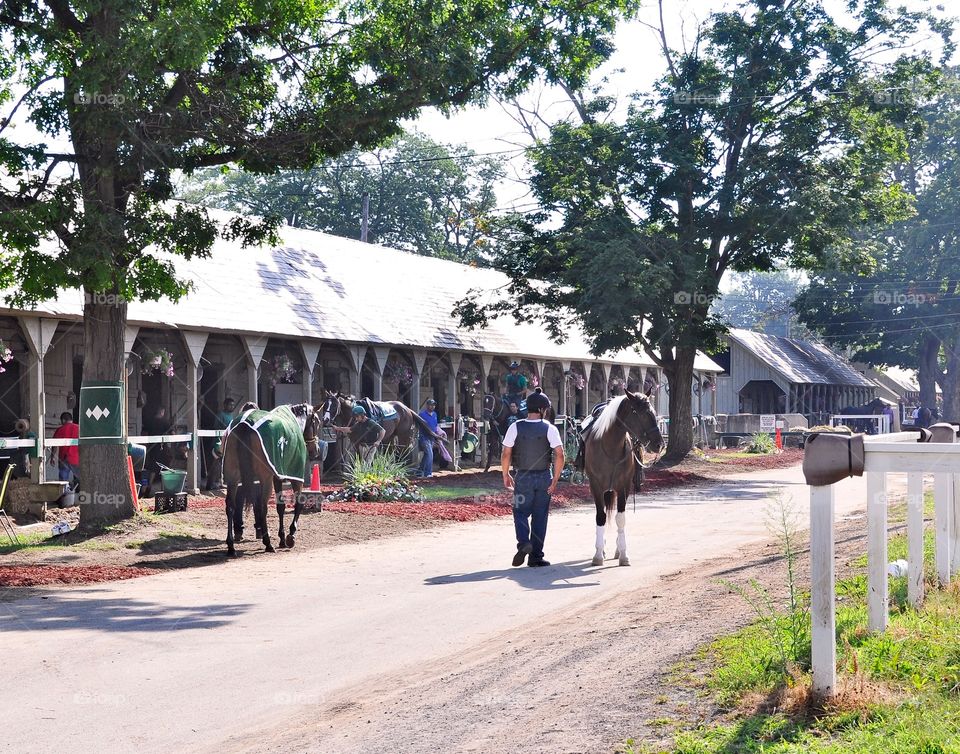 Gary Contessa's Barn.  Opening day at the Gary Contessa barn on the backstretch of Horse Haven Saratoga.
zazzle.com/Fleetphoto