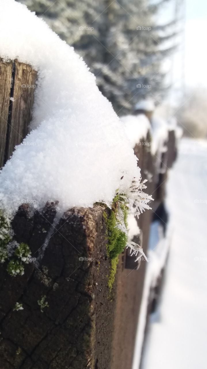 Close up capture of a Snow covered fence