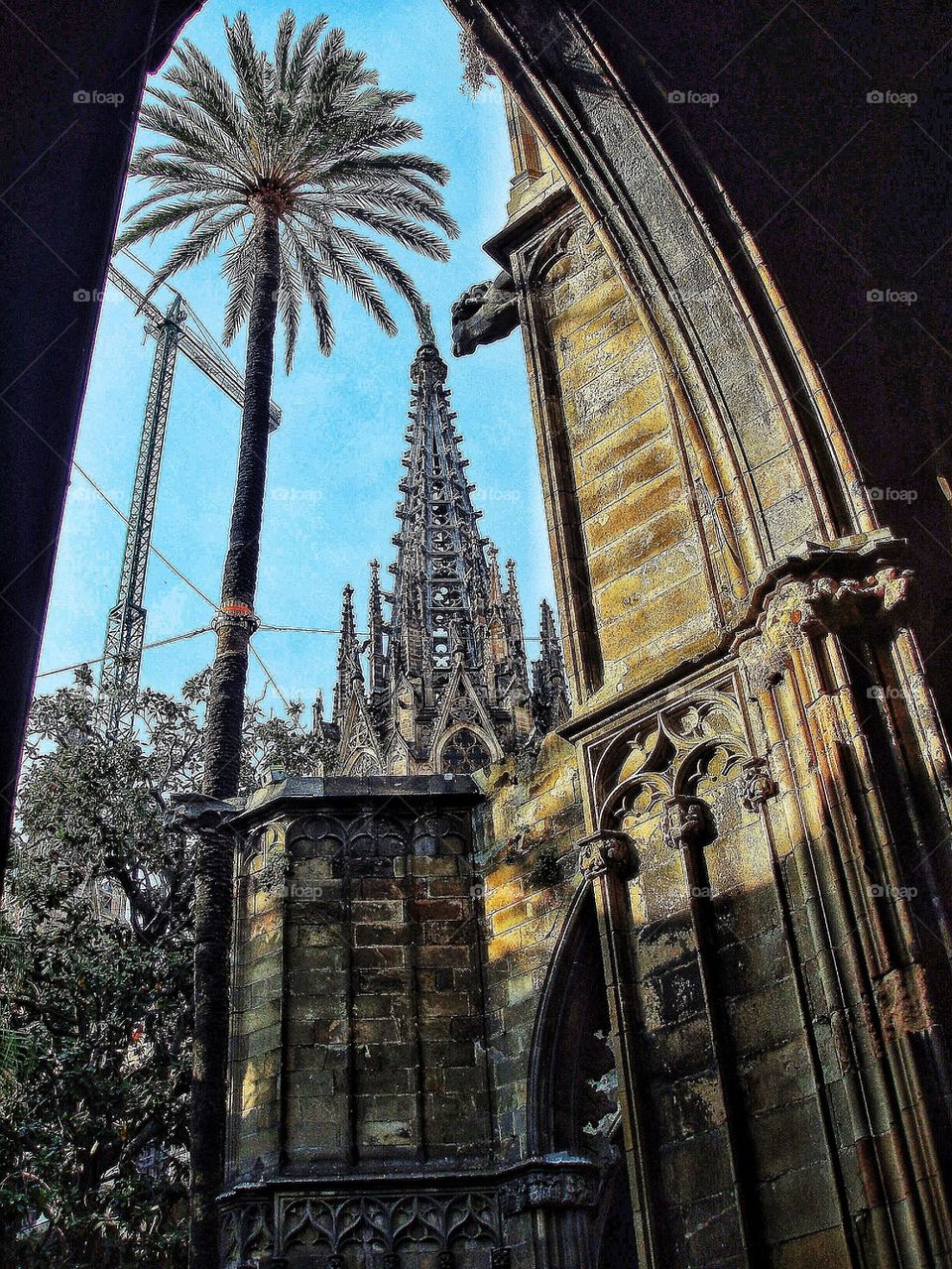 Inside Sagrada Familia 