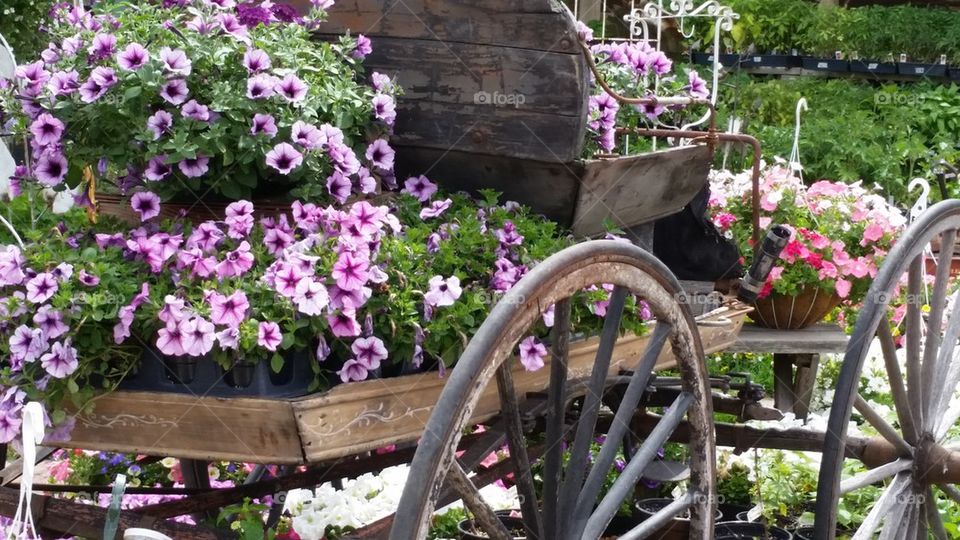 flower wagon