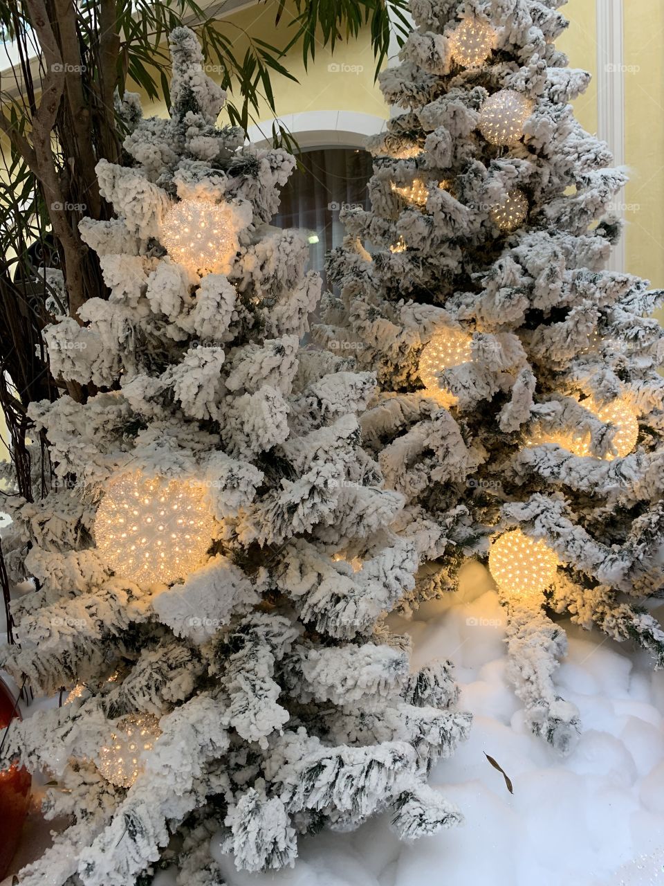 Decorating for Christmas. Large colorful decorations. The traditional colors of Christmas are pine green (evergreen), snow white, and heart red. Blue and white are often used to represent winter