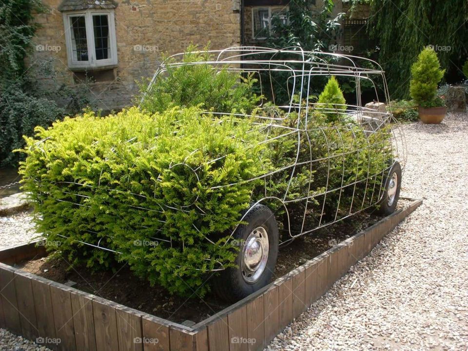 Garden, Flora, Flower, Backyard, Yard