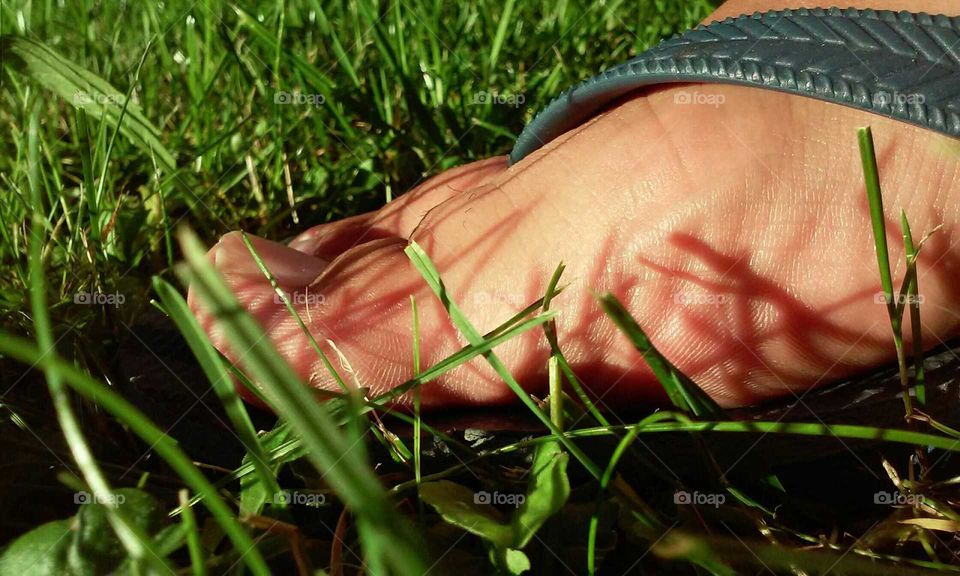 foot in flip flop in grass